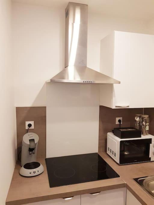 Le Jeanne 4/6 Couchages, Wifi, Sanctuaire Apartamento Lourdes Exterior foto