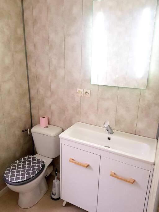 Le Jeanne 4/6 Couchages, Wifi, Sanctuaire Apartamento Lourdes Exterior foto